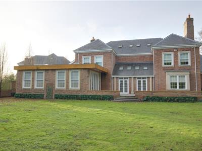 Picture 28